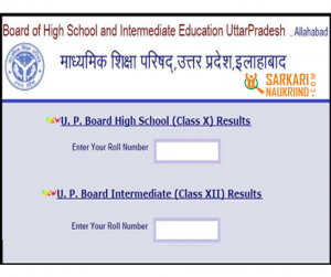 12th Result 2019