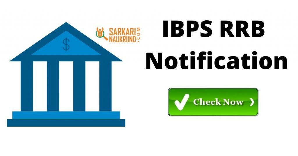 IBPS RRB Notification