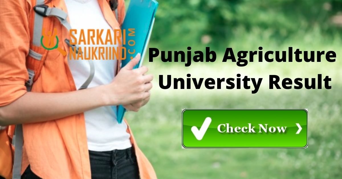 Punjab Agriculture University Result