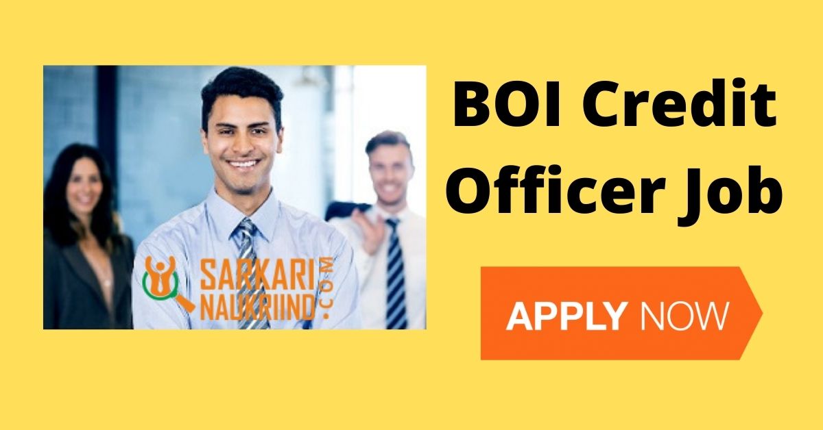 BOI Credit Officer Job